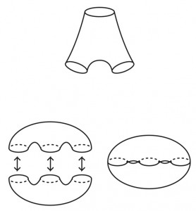Getting Into Shapes: Figure 8 An image of Figure 8