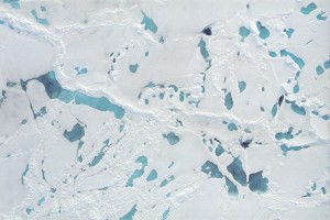 These disconnected Arctic melt ponds do not form a system that is correlated enough to exhibit universality. Instead, the energy spectrum of the system is random. (Photo: Don Perovich)