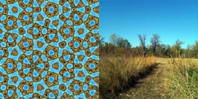Farris has figured out ways to meld the colors and forms of a nature photograph with the wave functions that go into his wallpaper designs, thereby creating a dazzling range of wallpaper frauds, such as this one derived from the adjacent meadow view. Some of the tree branches are still visible in the fake wallpaper. (Illustration and Photo: Frank Farris)
