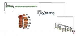 Breast tumor single cell tree.