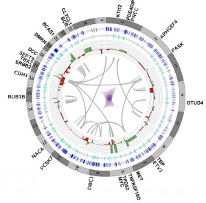 Circos diagram of single cell.