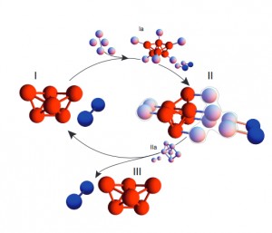 Self Replicating Microstructures