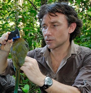 Joseph Tobias, an evolutionary biologist at Oxford University, suggests that character displacement may not be as common as previously thought.