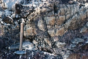 Black quartz in Beck Spring Dolomite.
