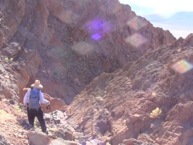 Video: During a recent trip to the Black Mountains of Death Valley National Park, Paul Knauth explained why he thinks oxygen-breathing organisms arose on land rather than in the seas.