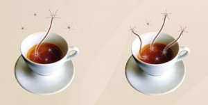 Coffee entanglement.