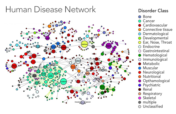 A human disease network maps out connections between diseases — if patients who have one disease tend to also have another, the two disease nodes are connected.