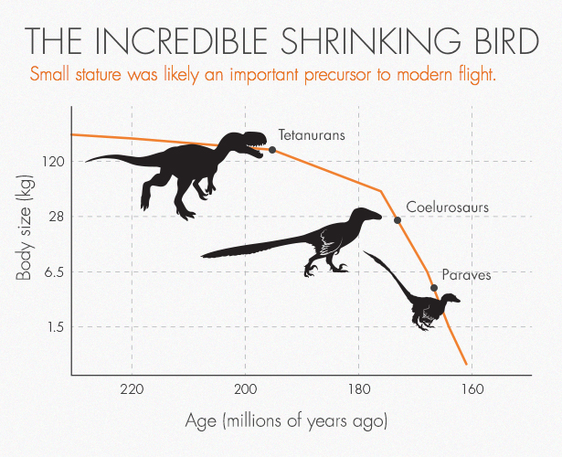 Dinosaur Evolution Chart