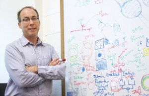 Eric Gaucher, a biologist at the Georgia Institute of Technology, has reconstructed ancient versions of a number of different proteins.