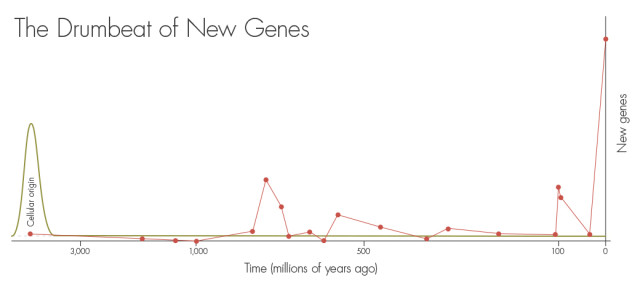 New genes appear to burst into existence at various points along the evolutionary history of the mouse lineage (red line). The surge around 800 million years ago corresponds to the time when earth emerged from its “snowball” phase, when the planet was almost completely frozen. The very recent peak represents newly born genes, many of which will subsequently be lost. If all genes arose via duplication, they all would have been generated soon after the origins of life, roughly 3.8 billion years ago (green line).