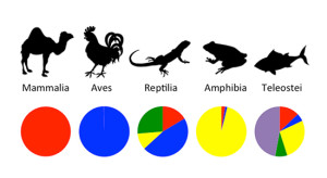 The diversity of sex chromosome systems varies among different types of animals. Mammals all use an XY system (red) and birds all use a ZW system (blue). But reptiles and fish employ a variety of different systems. Some choose sex based on temperature (green), others are hermaphrodites (purple), and some have sex chromosomes that look the same (yellow).