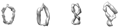 Microscopic images of supercoiled DNA show that the tiny circlets can take a variety of forms, such as the open circle, open figure-8, figure-8, racquet and handcuffs, shown left to right.