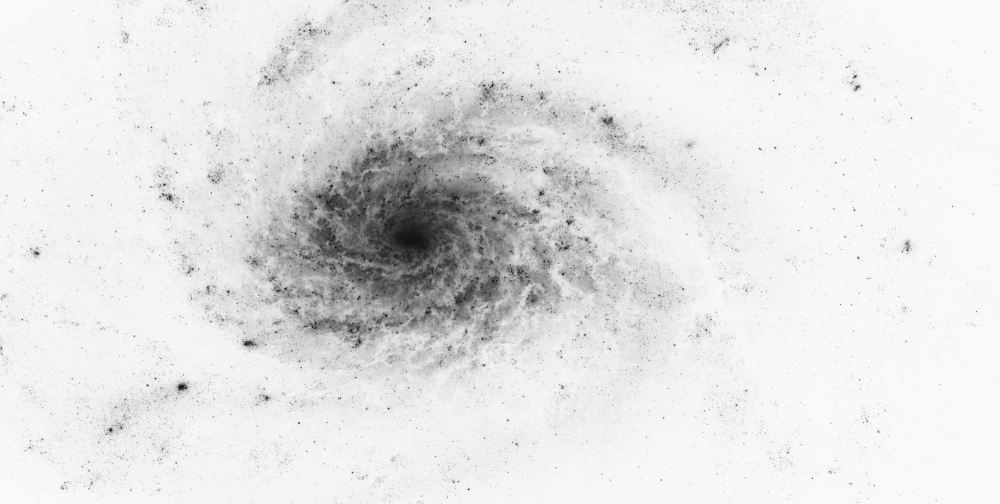 Astronomers have long known that small dark-matter dominated galaxies exist. None were supposed to be as big as ordinary spiral galaxies such as NGC 3810, seen here in negative. 