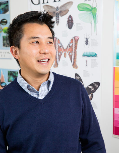 Evolution Runs Faster on Short Timescales | Quanta Magazine