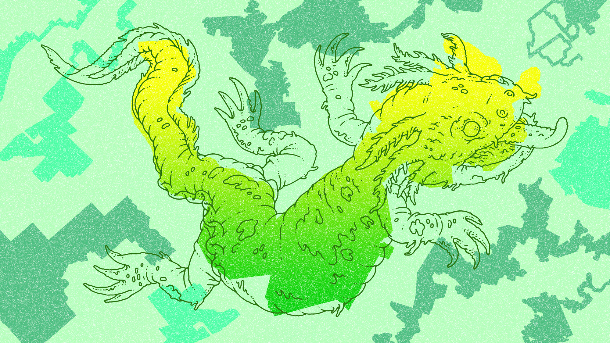 Illustration of a salamander