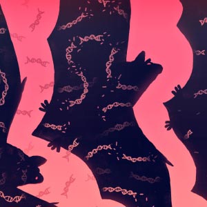 Illustration of bats shedding their genome by Skip Sterling