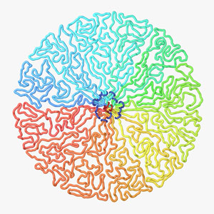 Thumbnail illustration of genome packaging