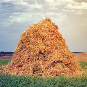 Art for "Why Mathematicians Can’t Find the Hay in a Haystack"