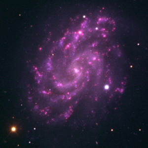 Supernova in galaxy NGC 5584.