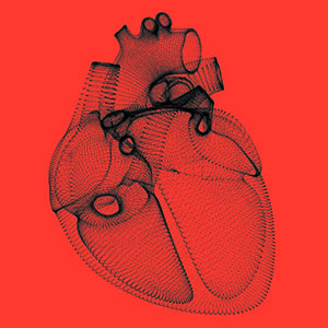 Simple line drawing of a beating human heart.