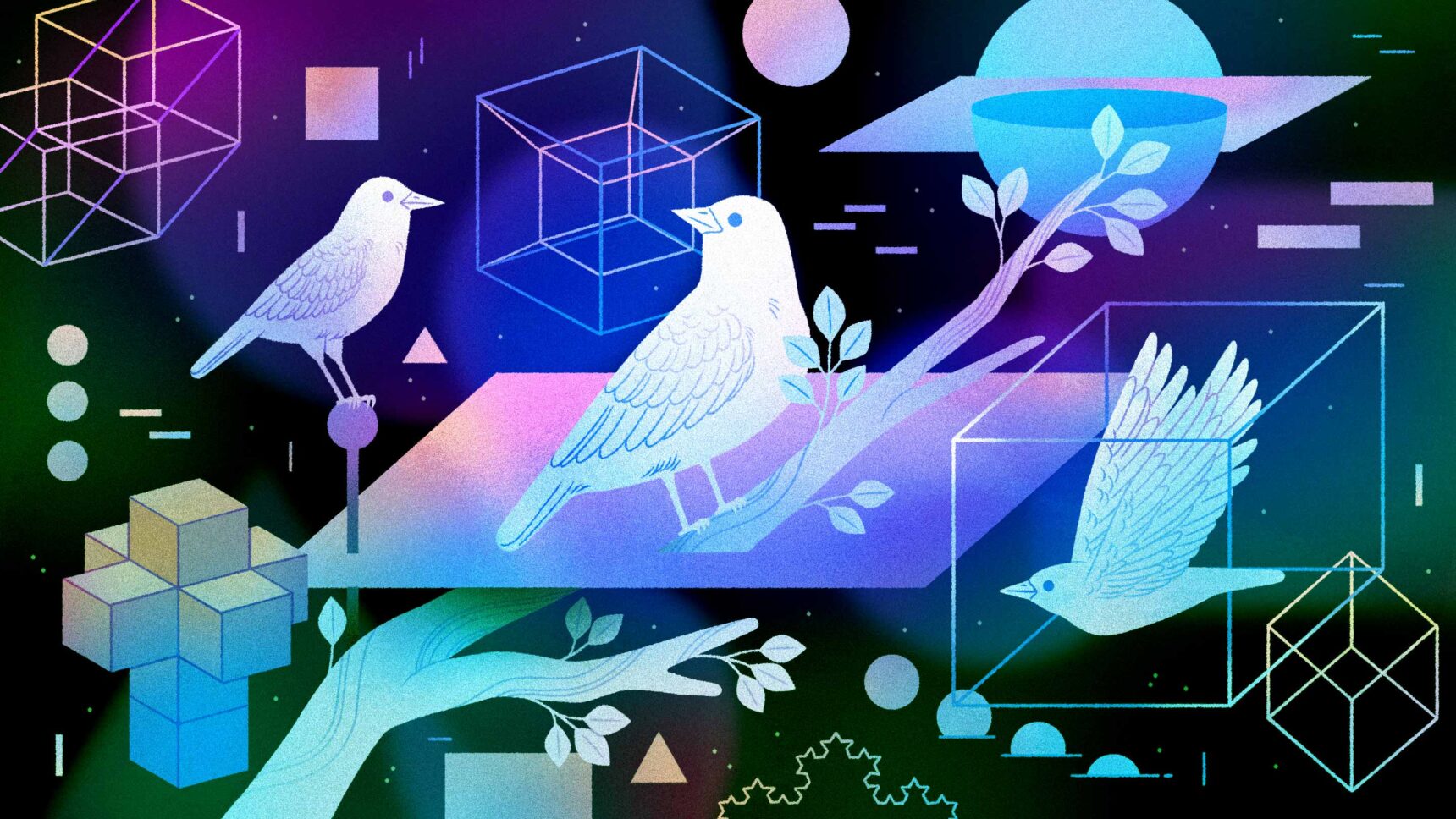 A Mathematician’s Guided Tour Through High Dimensions | Quanta Magazine