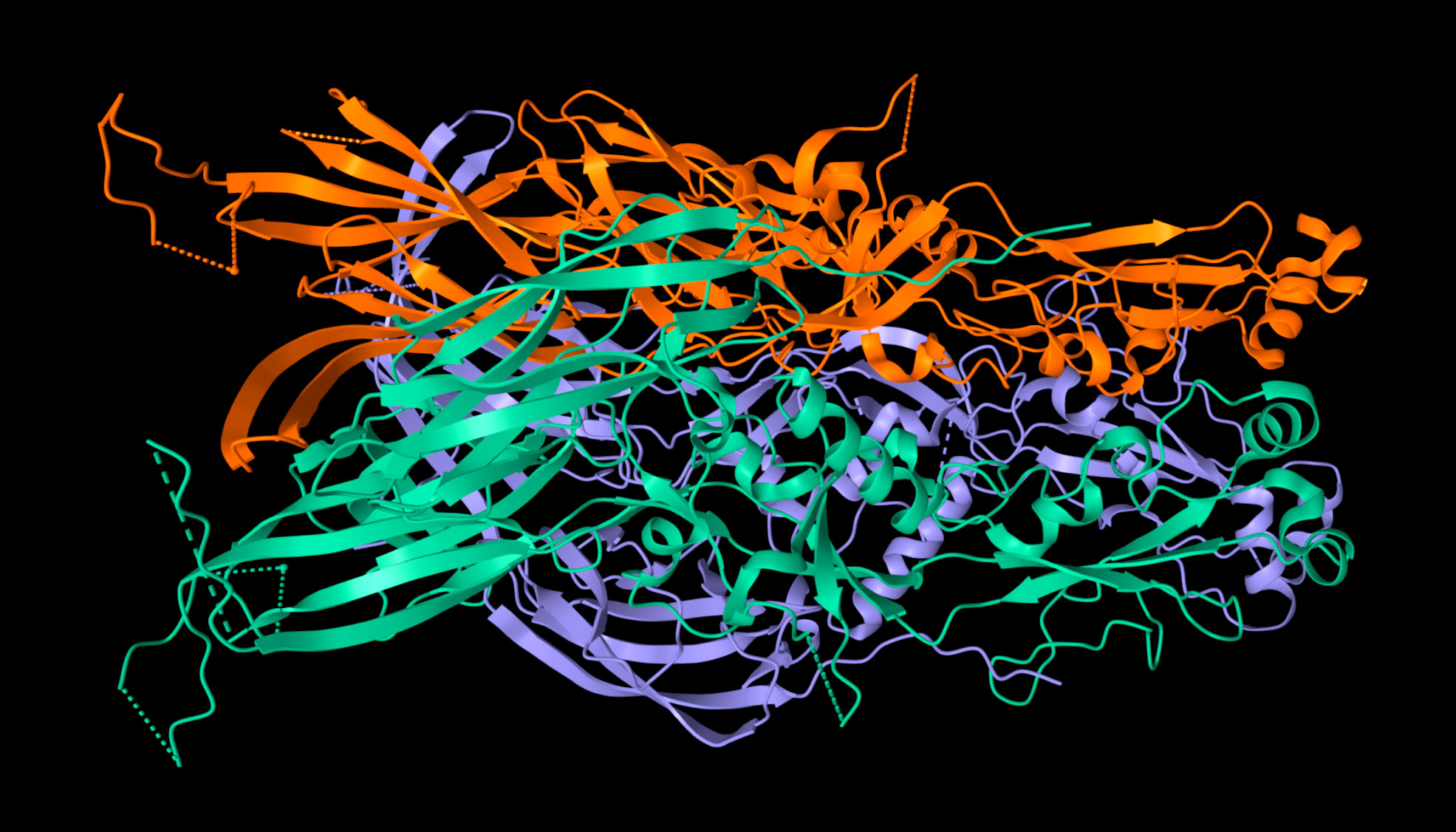 A structural ribbon diagram for a HAP2 protein.