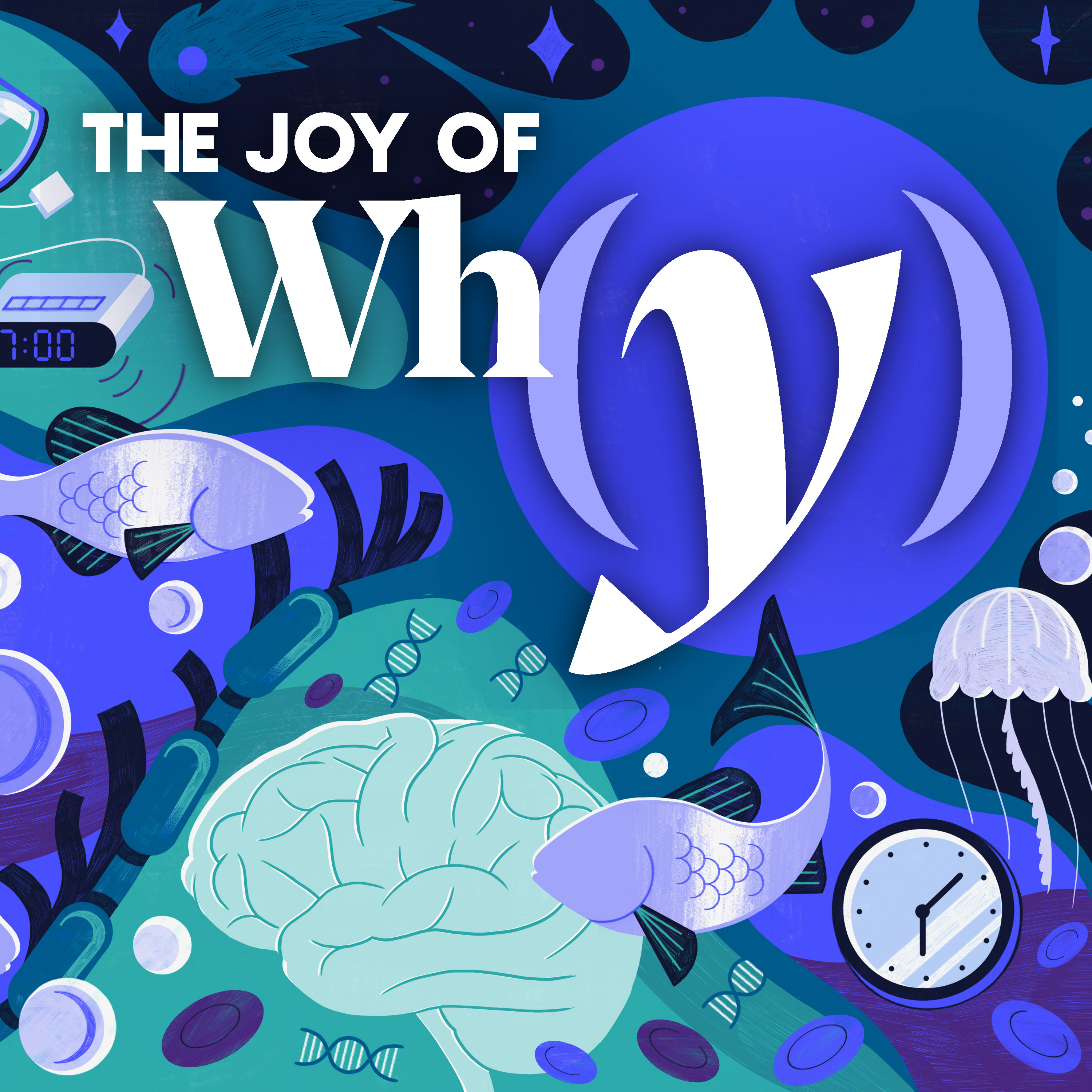Why Do We Die Without Sleep?