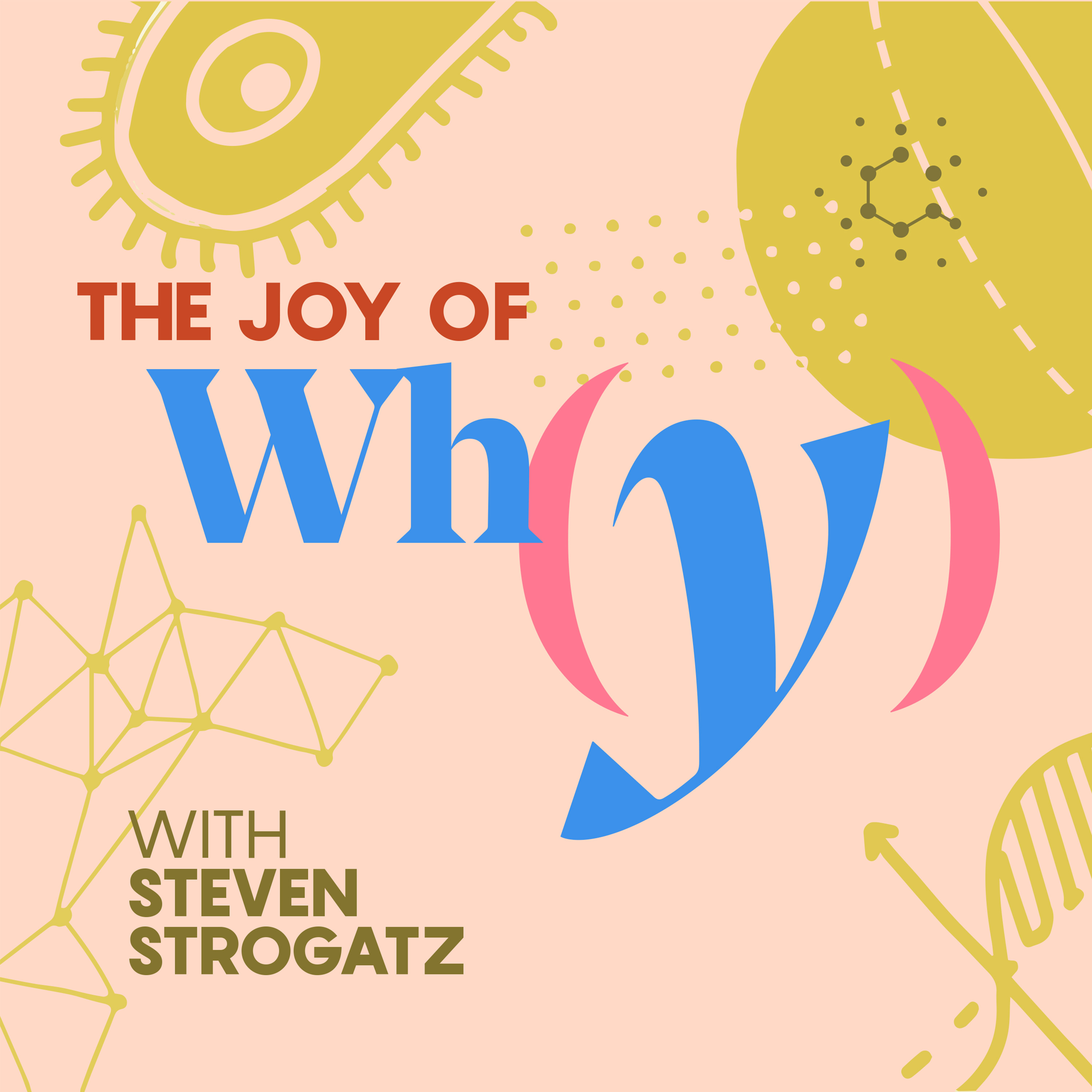 Trailer: The Joy of Why