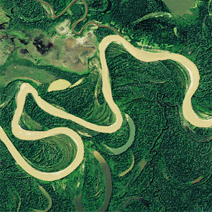 A satellite photo of the complex of rivers in the Amazon.