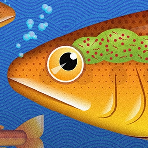 cover of episode Fish Have a Brain Microbiome. Could Humans Have One Too?
