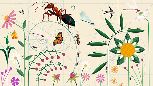 Plants and insects