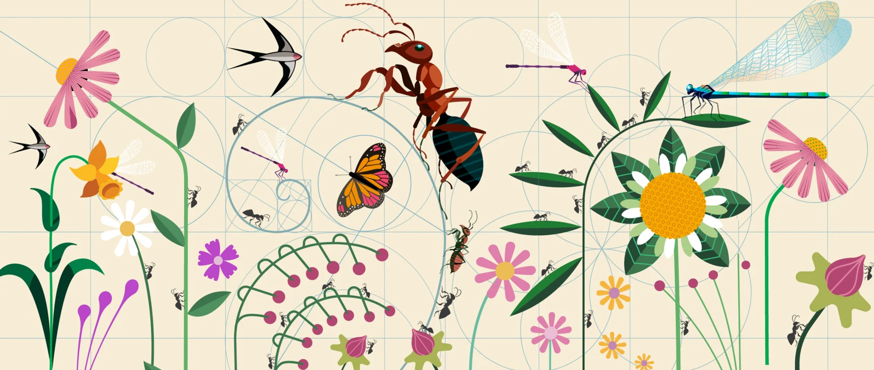 Plants and insects
