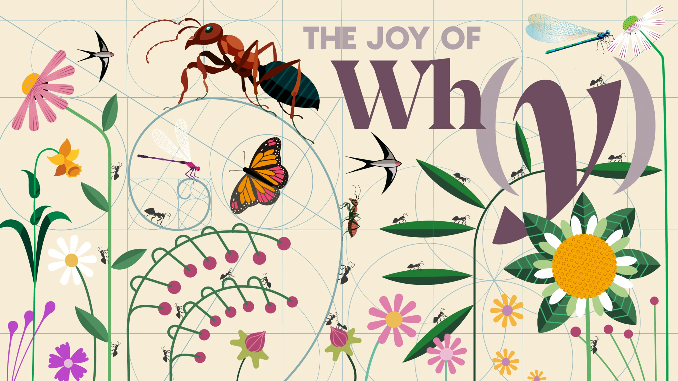 Plants and insects