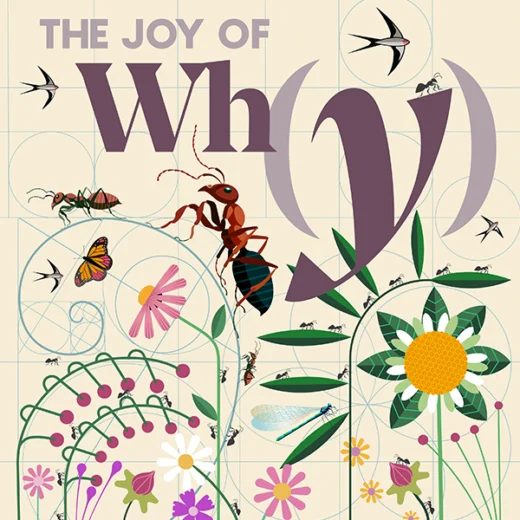 Plants and insects