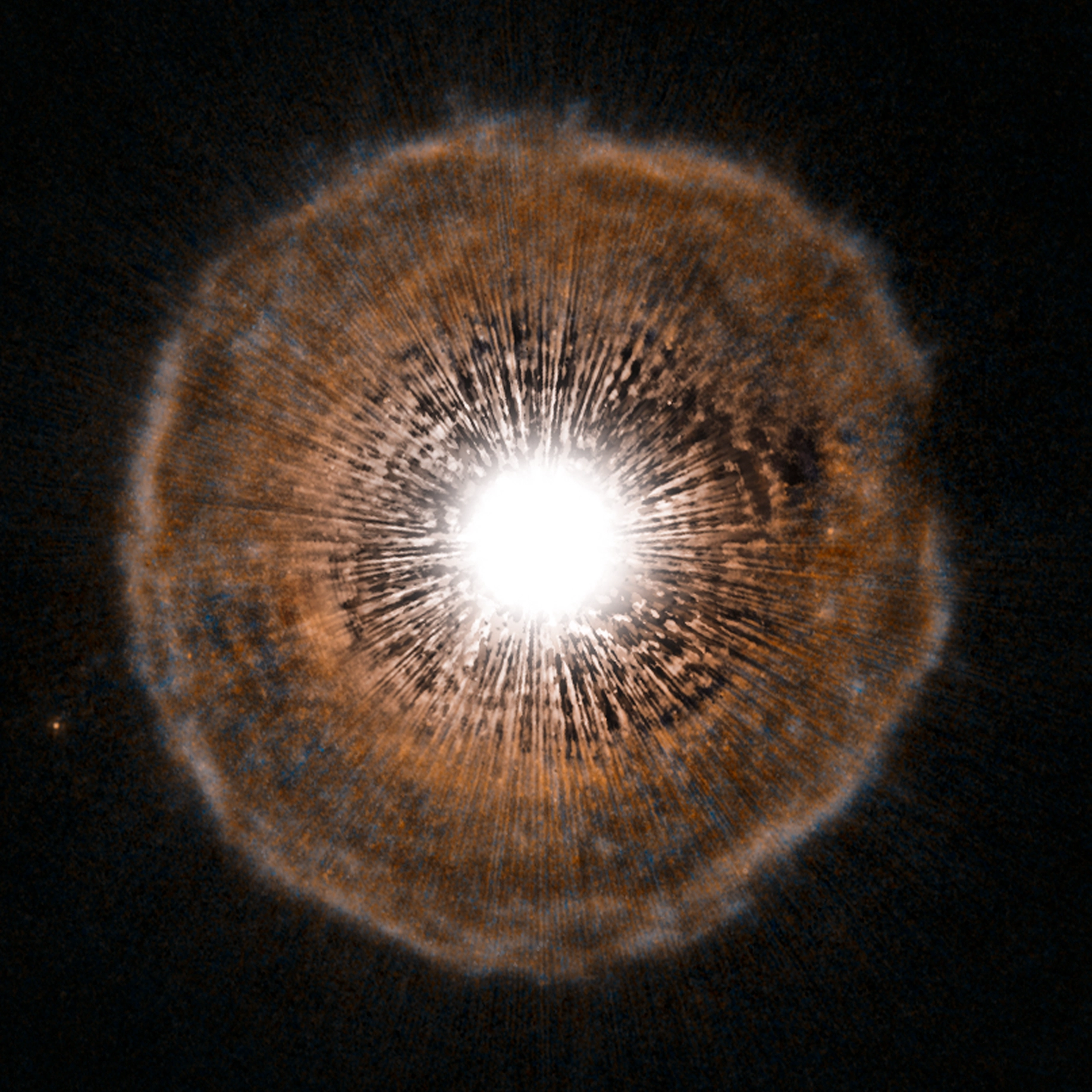 Image of a star with a white-hot center surrounded by a brownish disc.