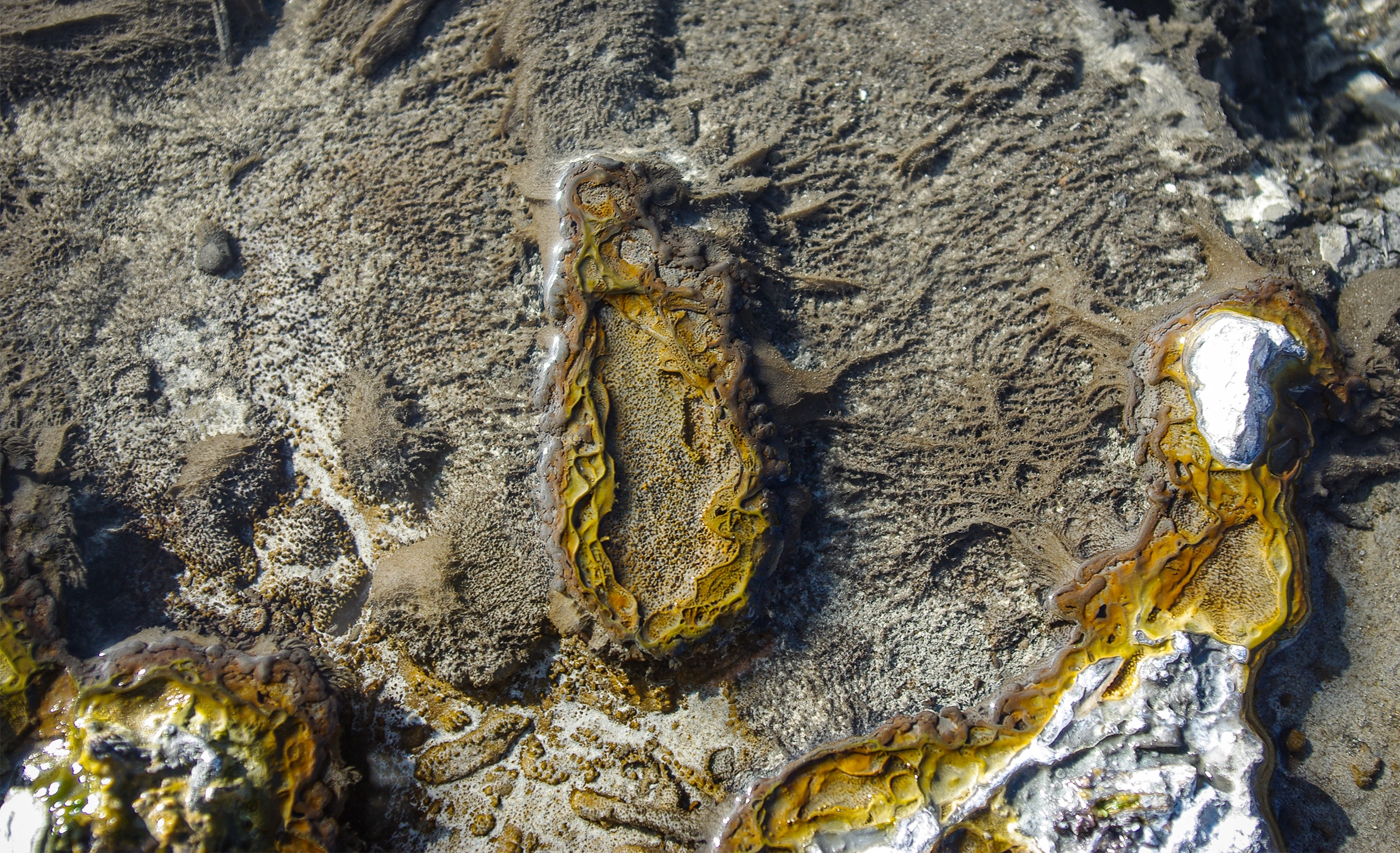 A gray biofilm with complex geometry grows on the bottom of the spring.