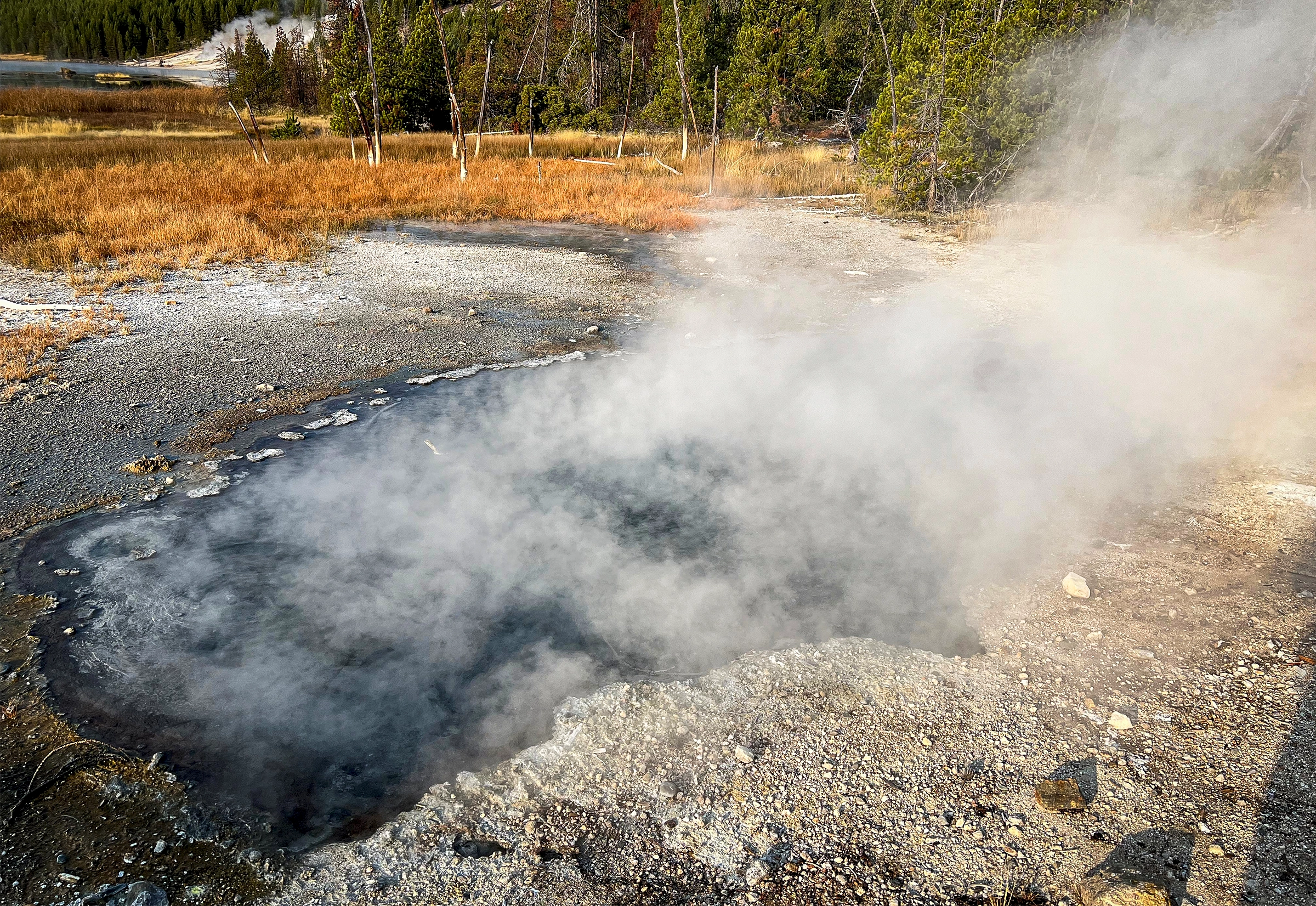 Steam billows off a gray hot spring.