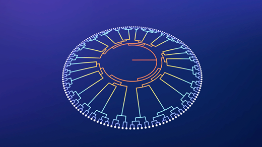 An animation of an evolutionary tree, starting from a small spot and rapidly spreading outwards and dividing as it grows.