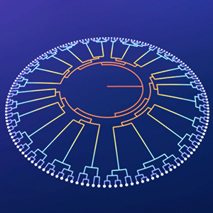 An animation of an evolutionary tree, starting from a small spot and rapidly spreading outwards and dividing as it grows.