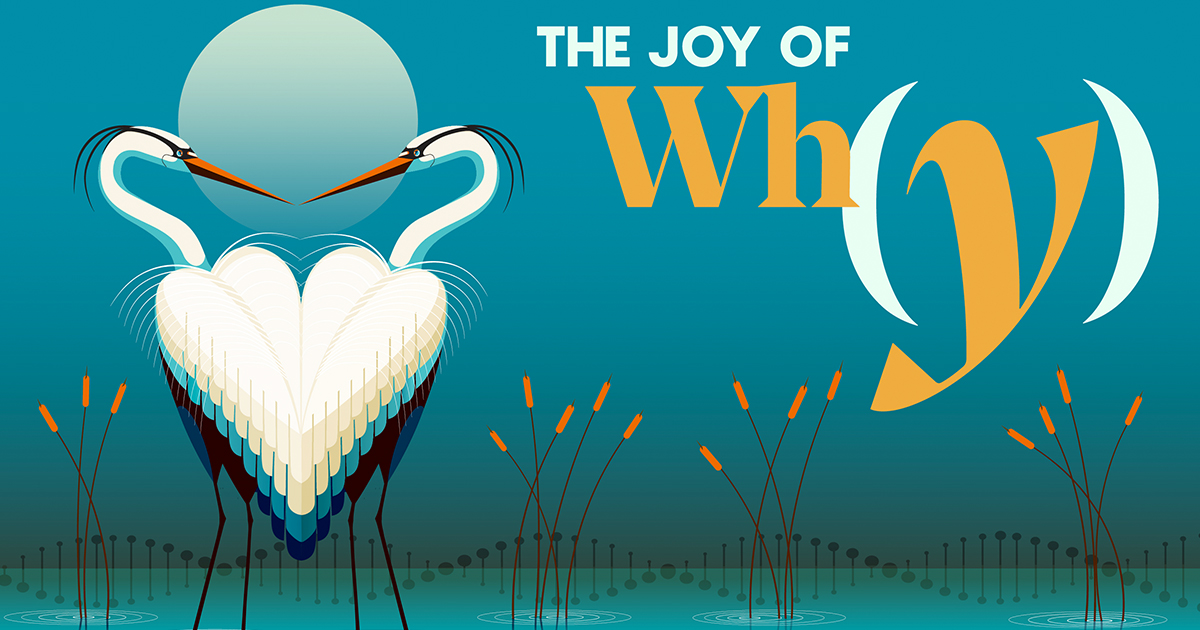 Do Beautiful Birds Have an Evolutionary Advantage?