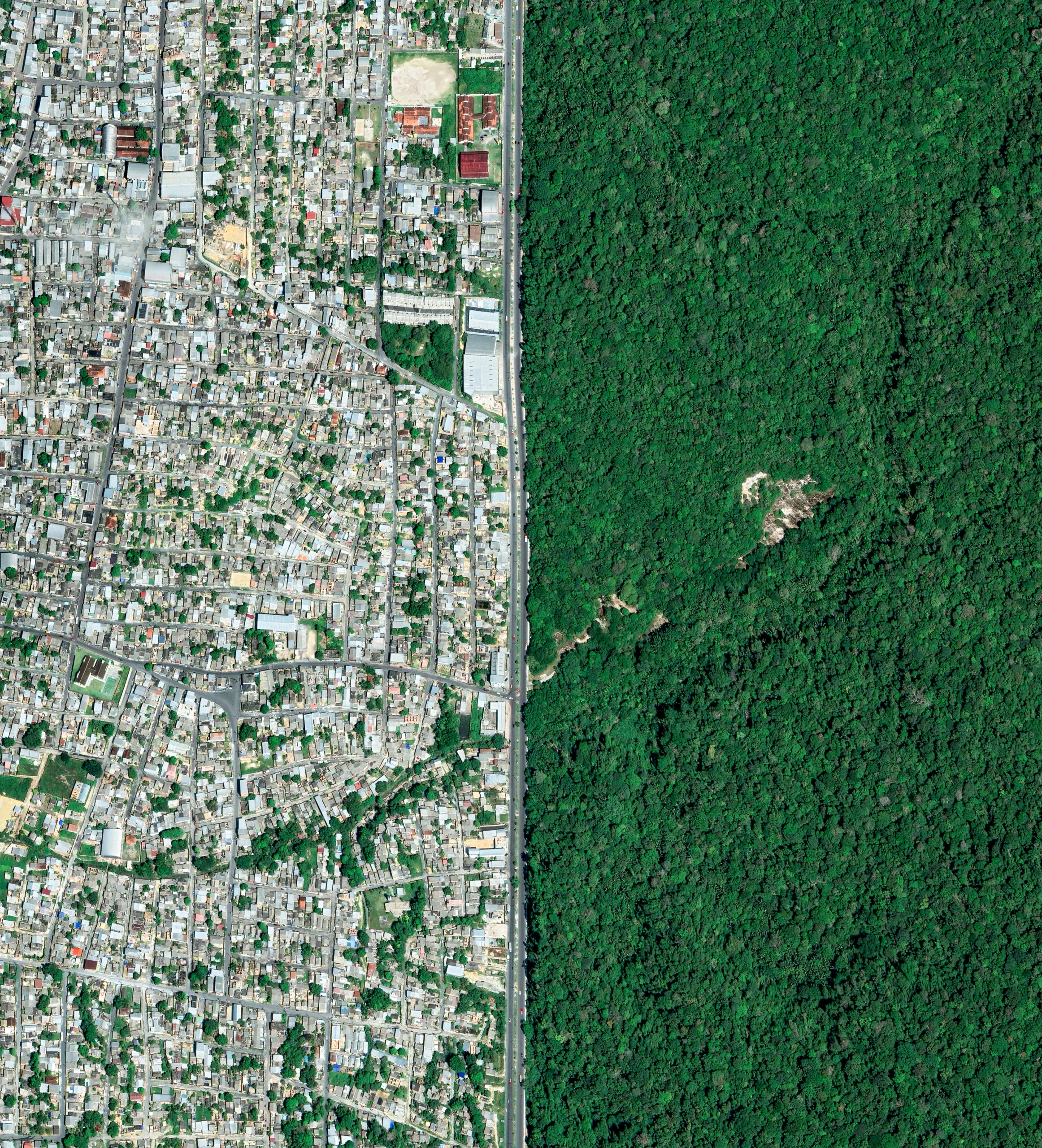 An overhead image of the city shows a stark contrast with adjacent rainforest.