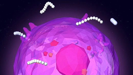 A model of a microbiome