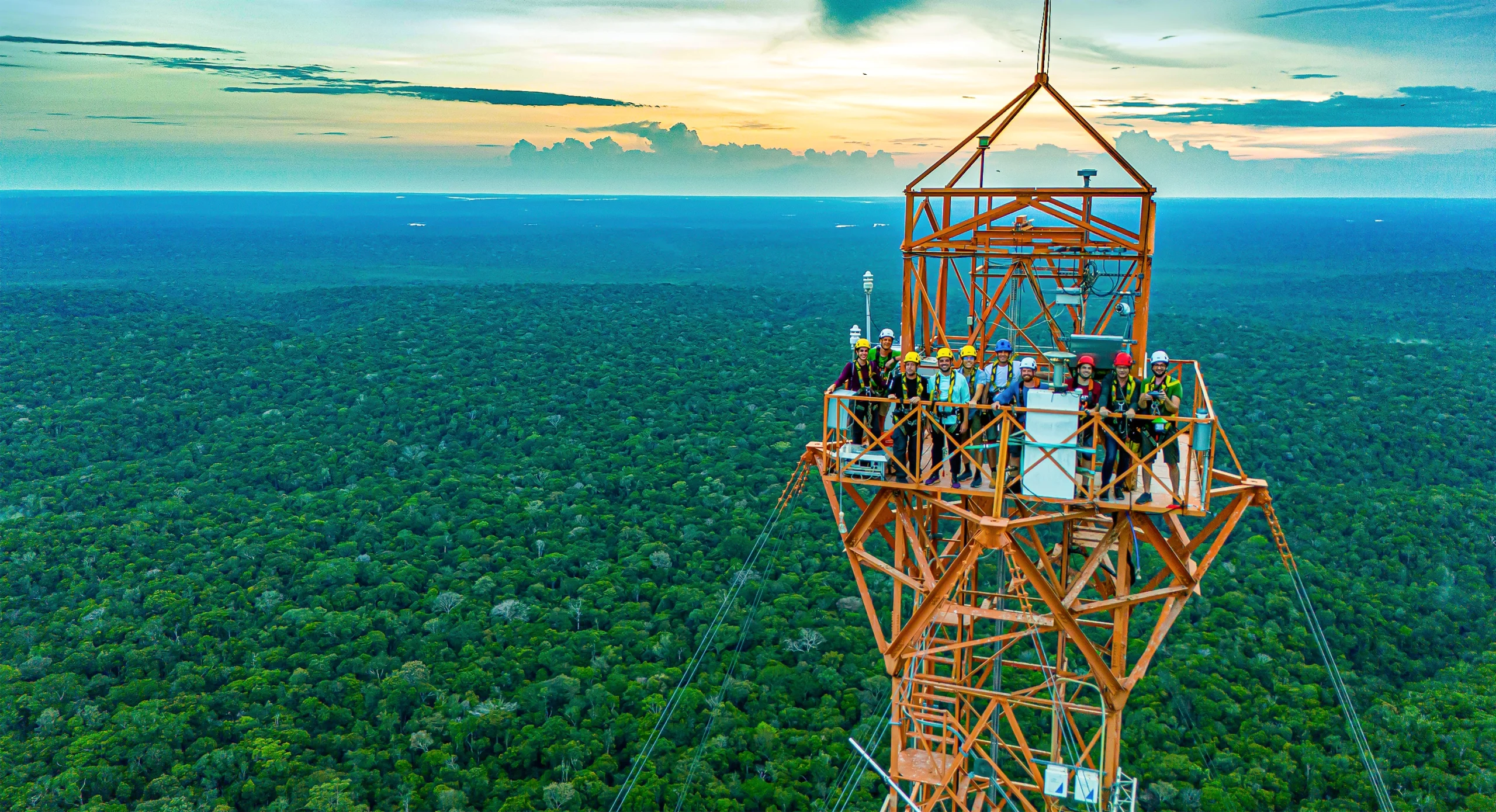 A group of researchers stand on top of a tall observatory tower high above a green forest that stretches to the horizon.
