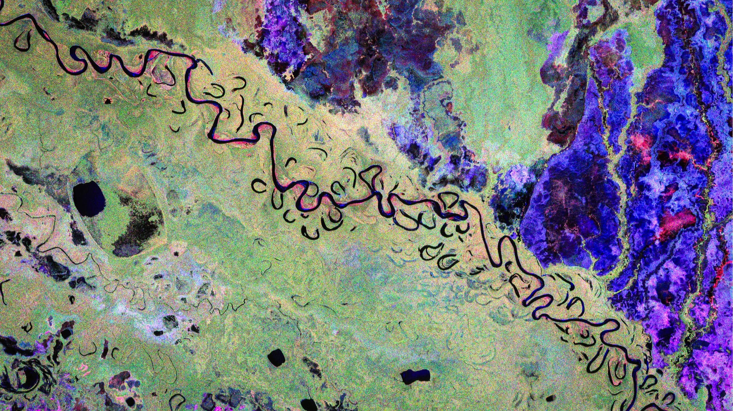 A polarized satellite image shows a winding river over rainforest, floodplains and wetlands.