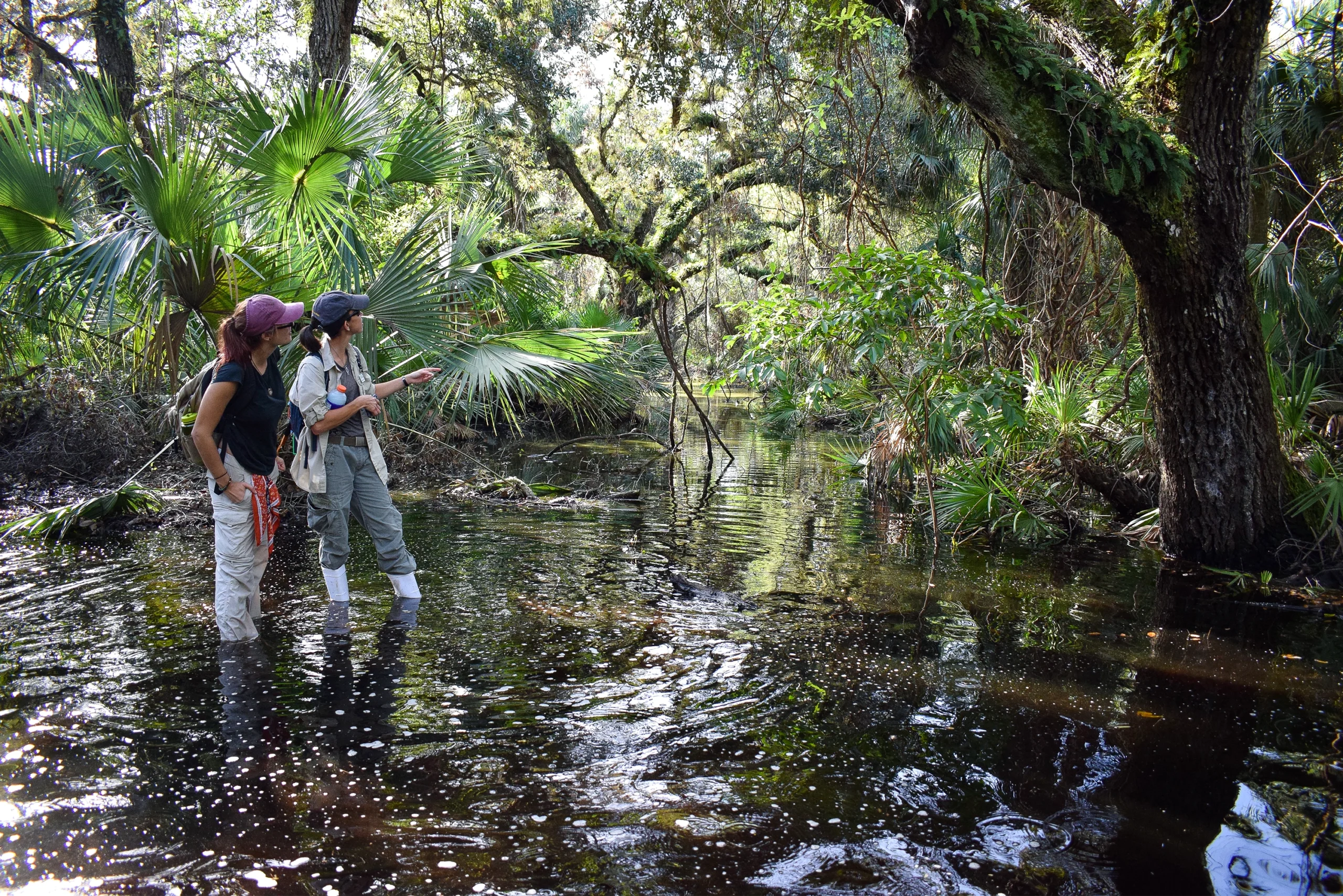 Two volunteers talk while standing in the water looking out onto a moat.