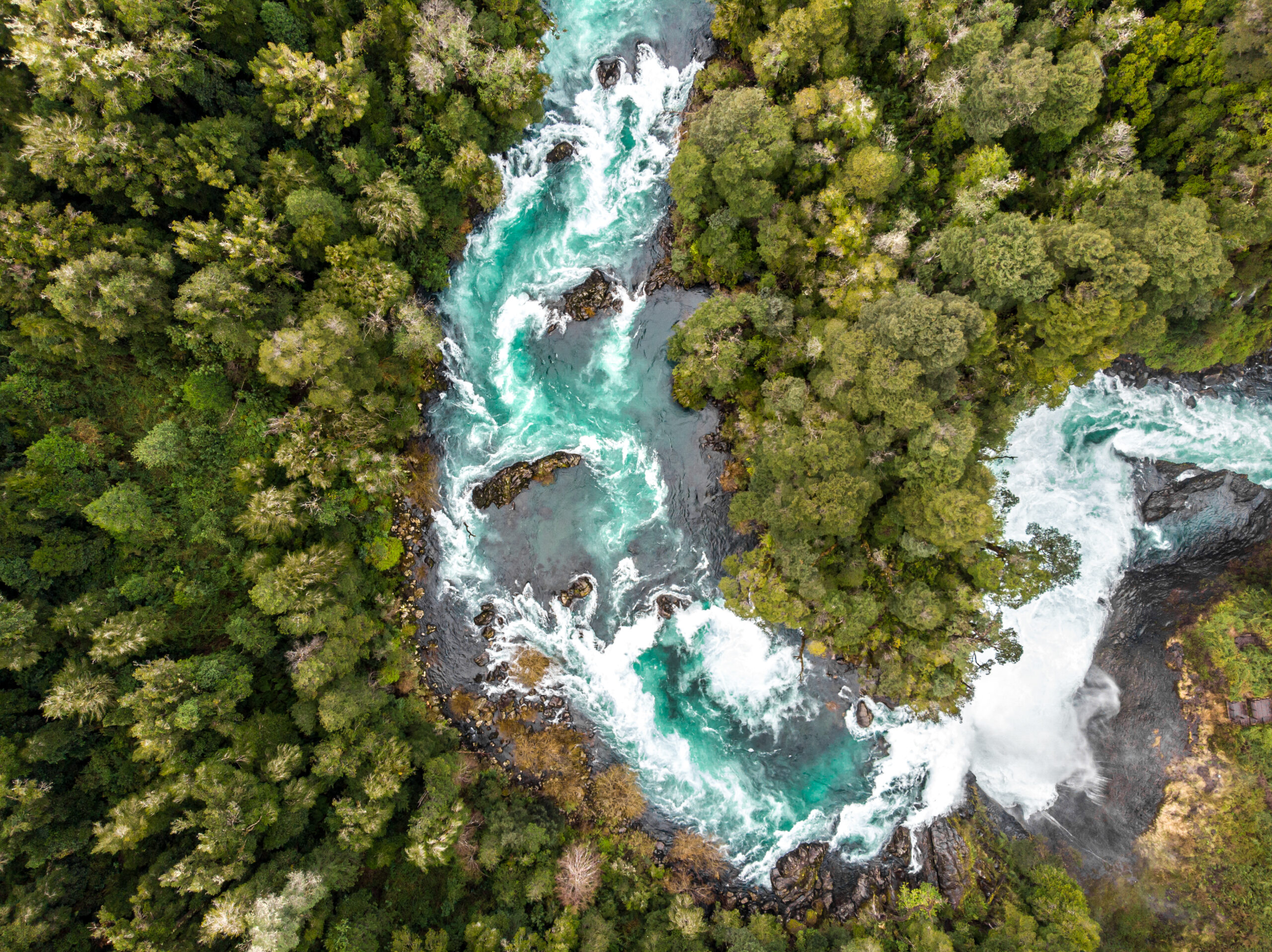 Aerial photo of a bend in a turbulent river in a forest.