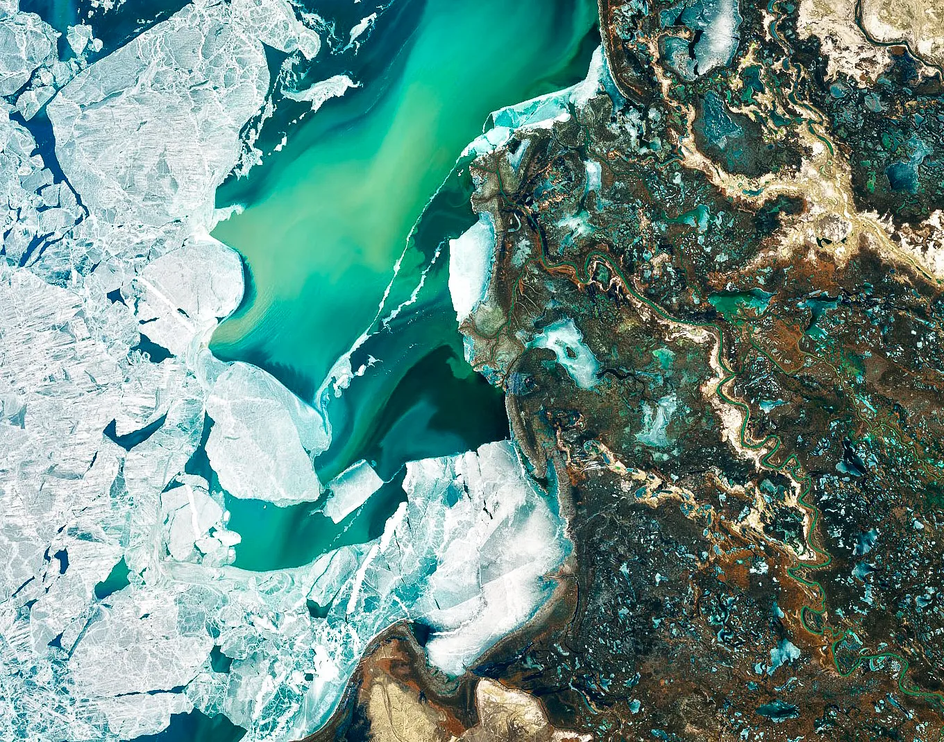 A satellite image of a river delta.