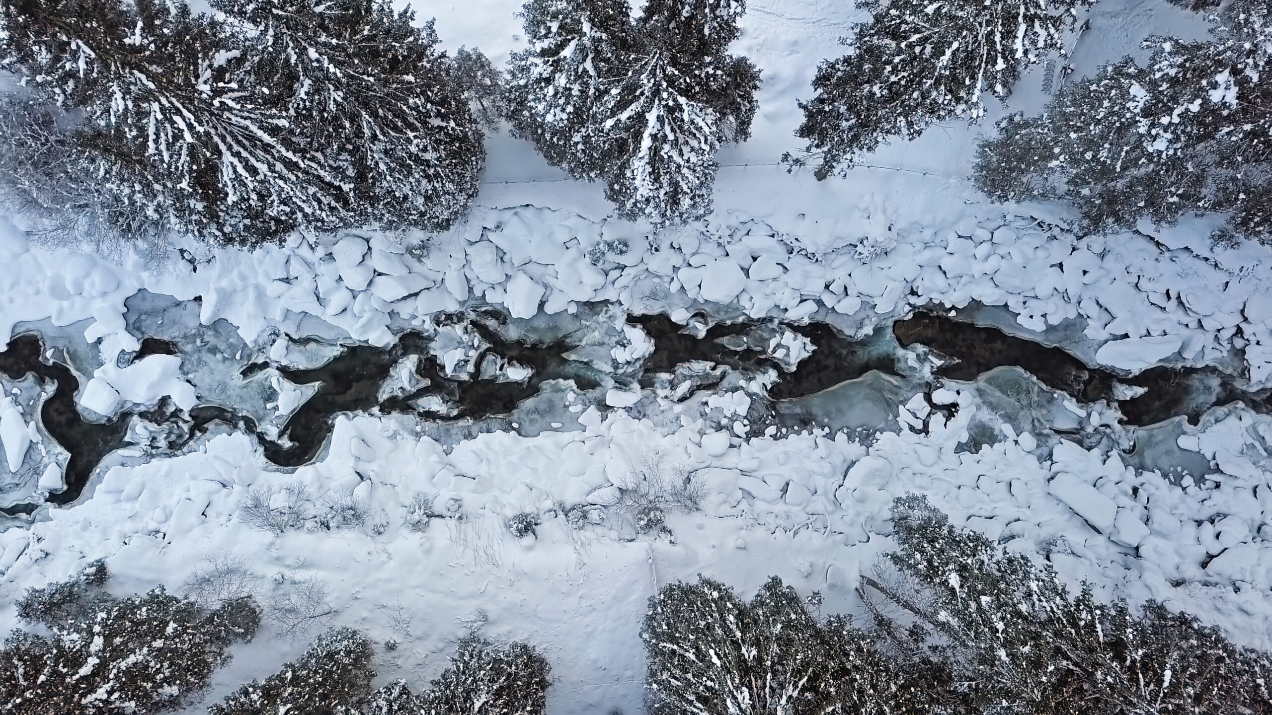 Aerial photo of a mountain river in a snowy forest.