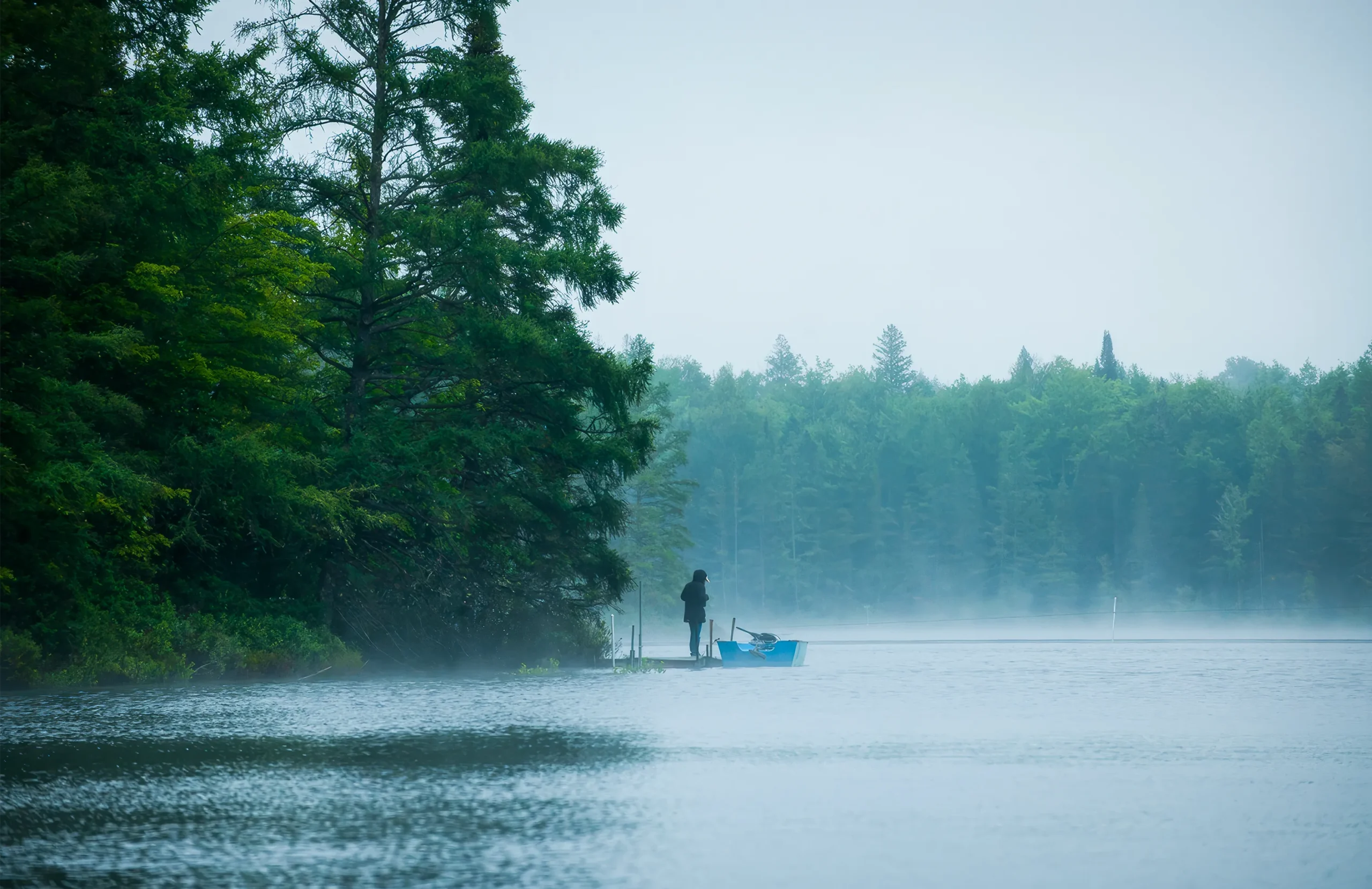 Misty lake surrounded by trees.