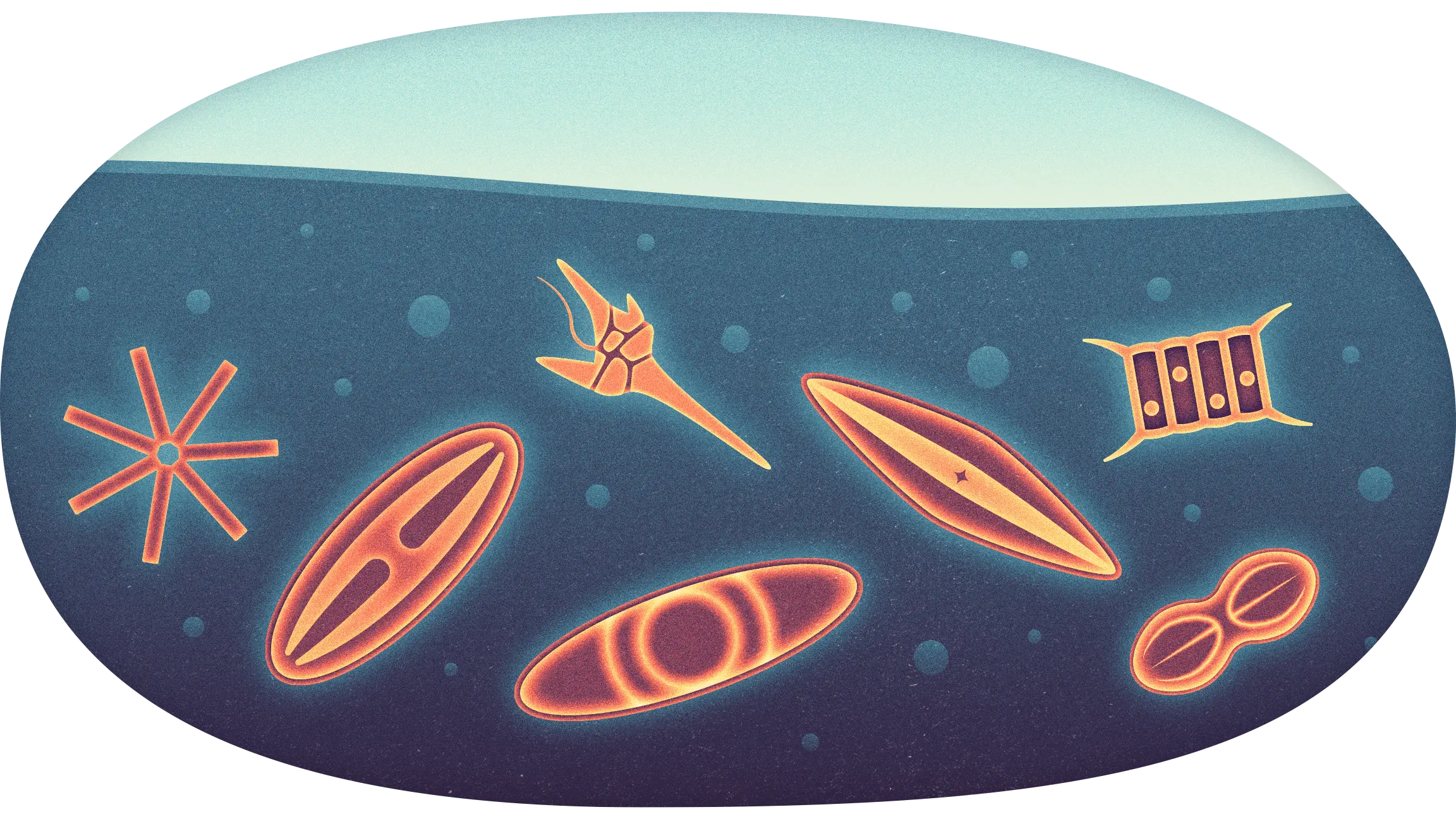 Microbes